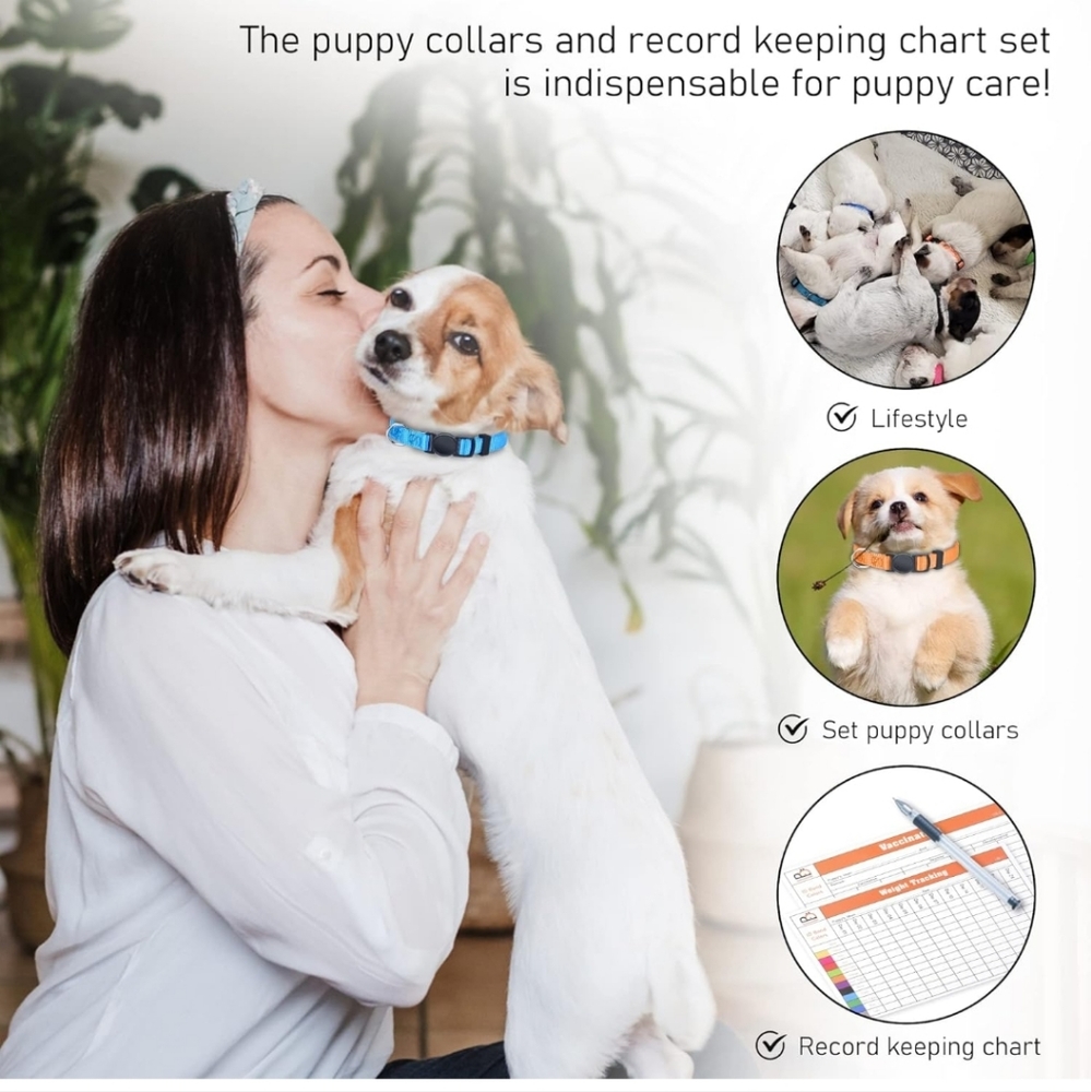 12 Pet Collars - Picture 6 of 7